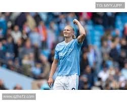 宝可梦大佬晒收藏百宝箱 世界末日来了都不怕