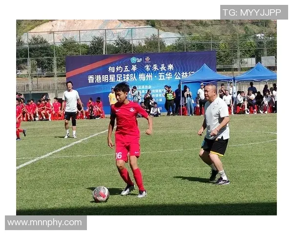 百家乐新手最容易犯的冲动（百家乐新手最常见的冲动行为）