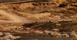 麻将学习不是靠天赋（学麻将靠努力，不靠天赋）